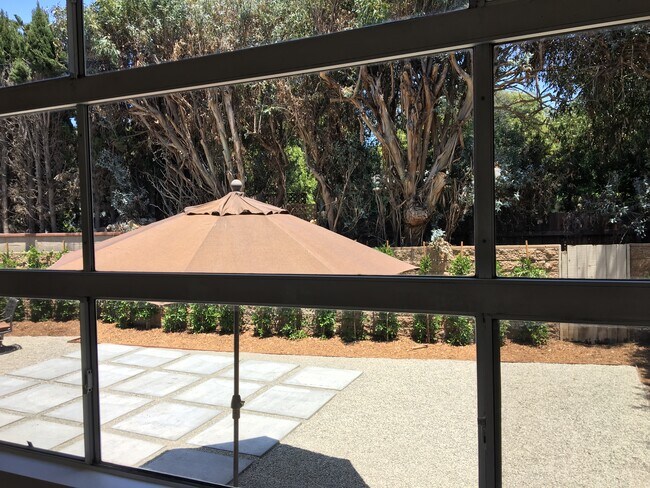 Backyard View from Living Room - 7920 Anise Ave