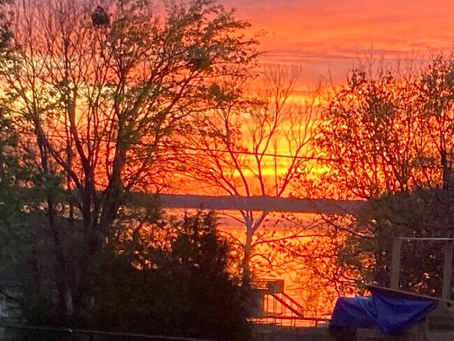 Foto del edificio - 223 Port Dr