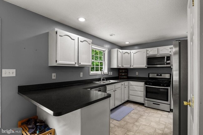 Building Photo - 344 White Mule Ln