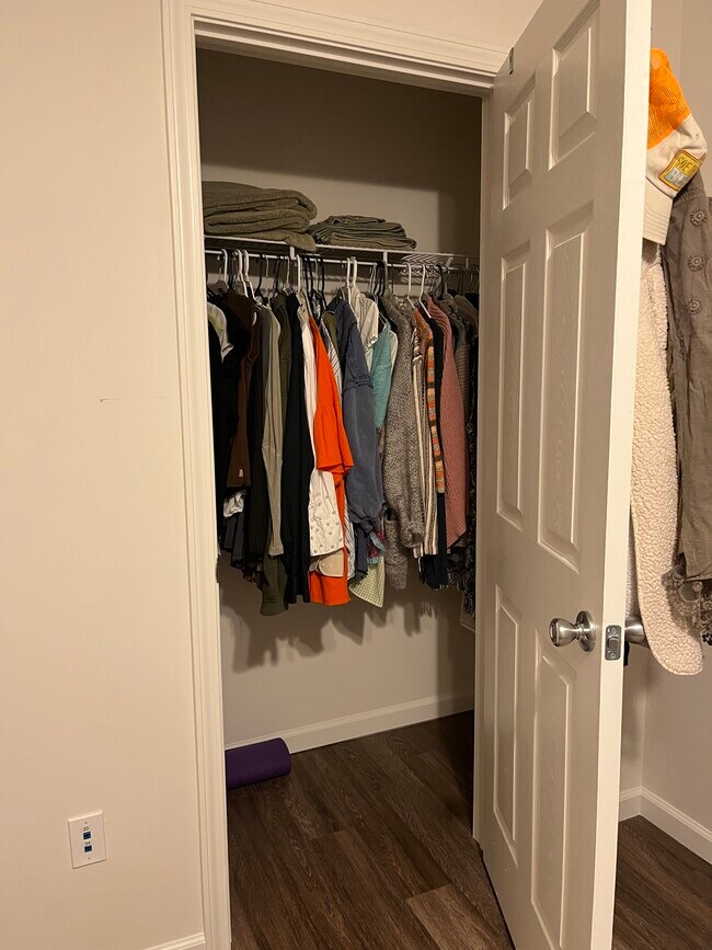 sublease bedroom closet - 206 S Linden St