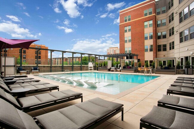 Terraza de la piscina - The Alloy