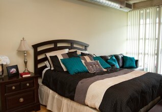 230 West Alabama Apartments photo'