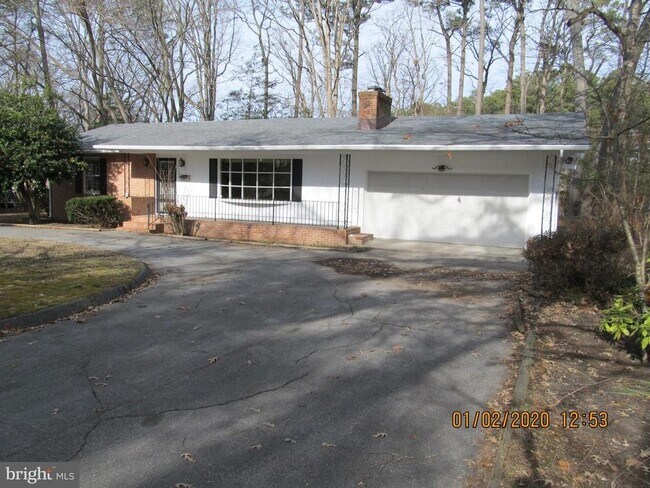 Building Photo - 1105 Middleneck Dr
