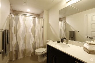 Studio - Turquoise - Coda