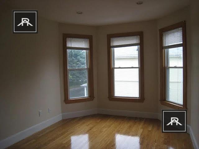 Building Photo - 2 bedroom in Brighton MA 02129