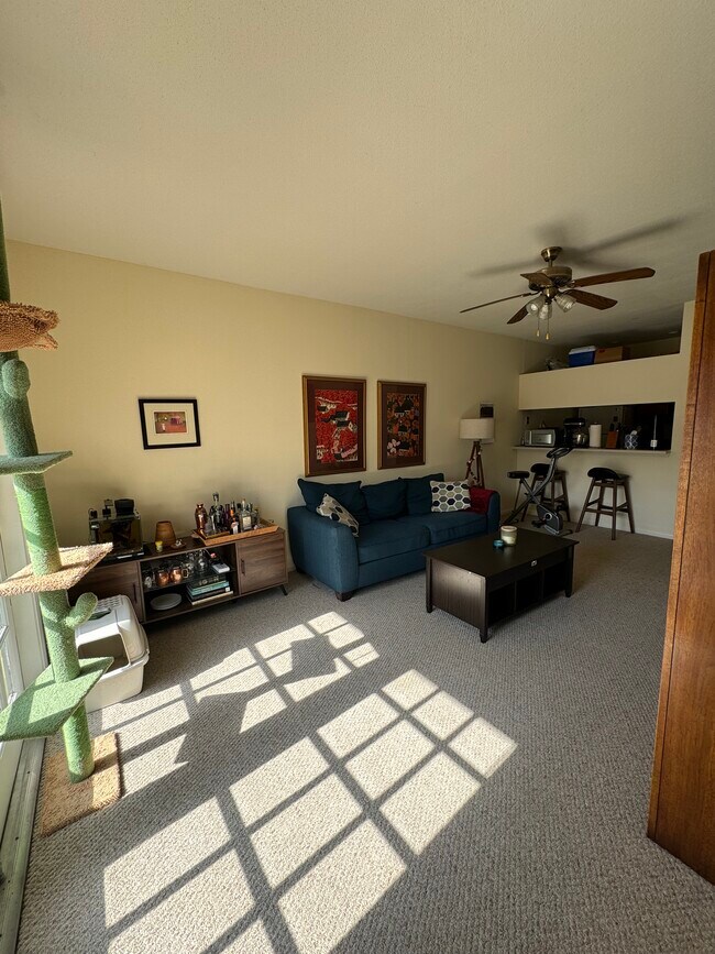 Building Photo - 2121 El Paseo St