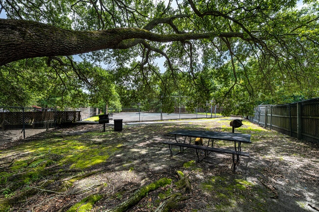 Área de picnic y cancha de baloncesto - Mimosa Place Apartments