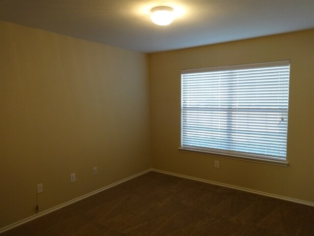 Building Photo - 10804 Irish Glen Trail