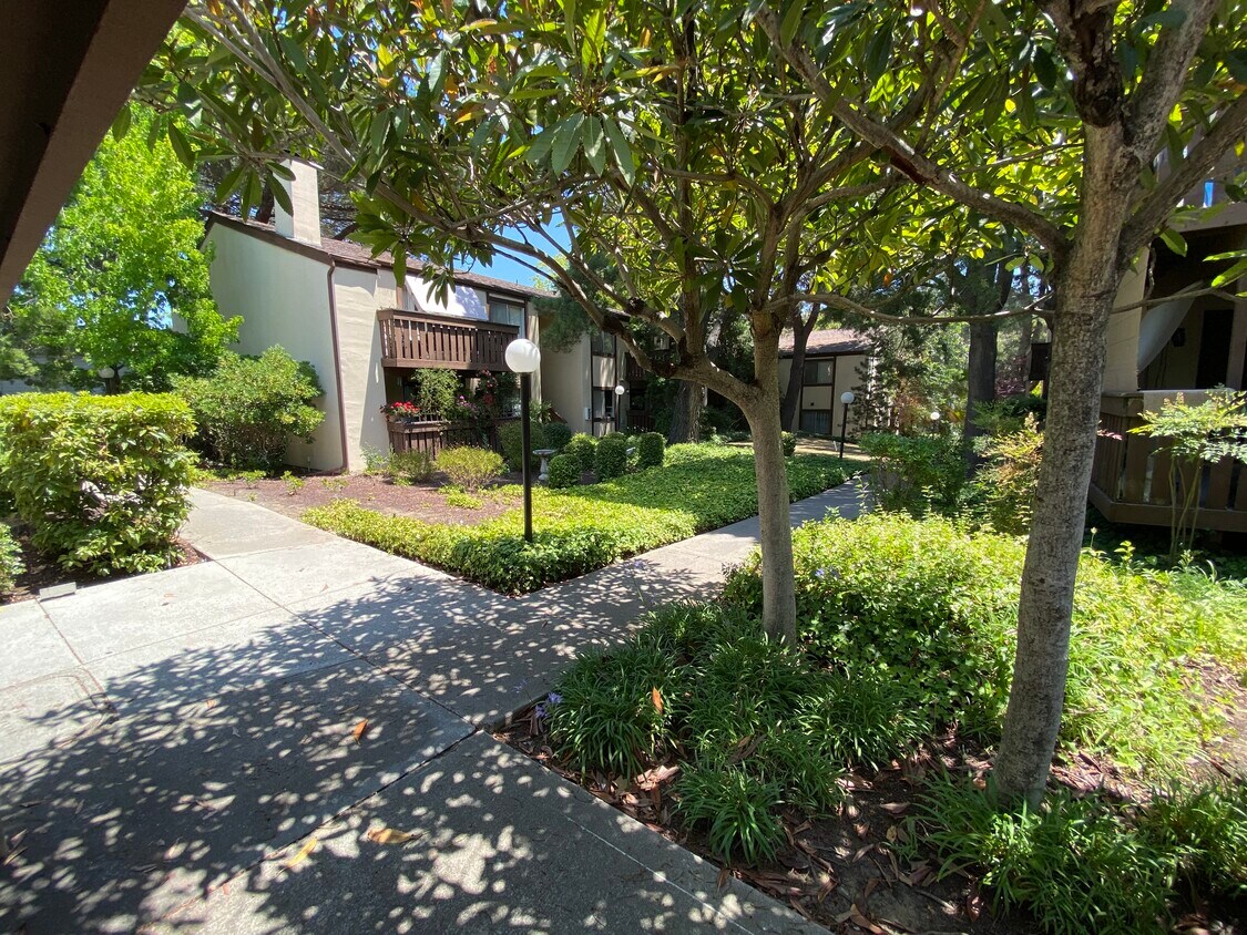 Shadow Creek Apartments Castro Valley, CA