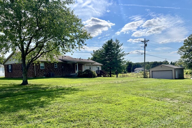 Back Yard - 244 Smith Ln