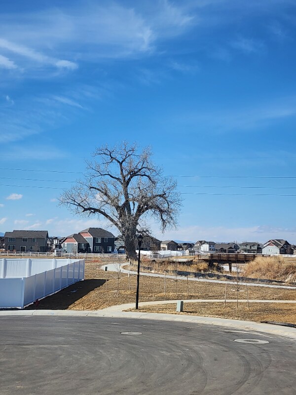 Building Photo - 1021 Maplebrook Dr