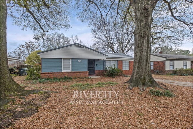 DON'T MISS OUT ON THIS BERCLAIR BEAUTY!!!!!!! Section 8 Welcomed !!!! - DON'T MISS OUT ON THIS BERCLAIR BEAUTY!!!!!!! Section 8 Welcomed !!!! House