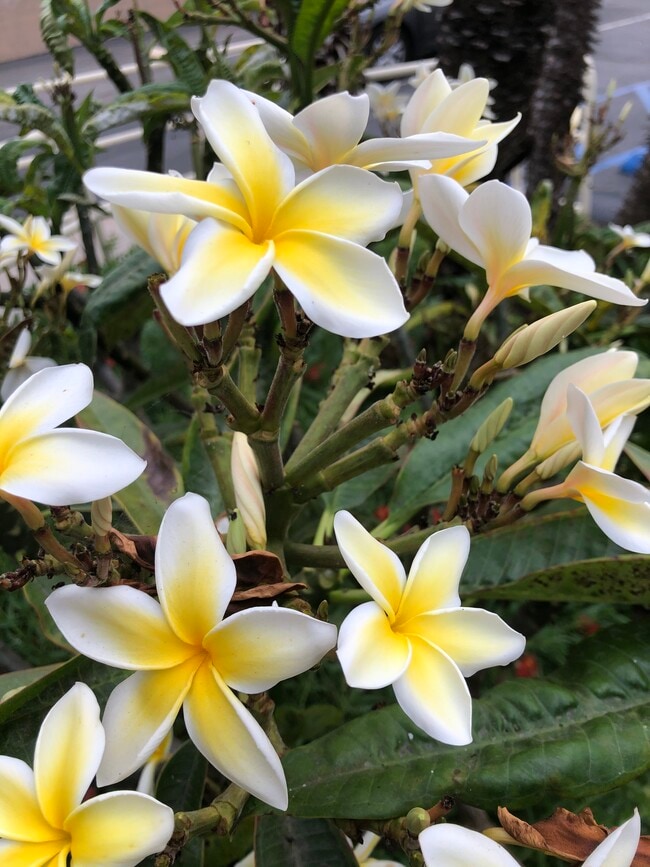 Building Photo - 840 W 168th St