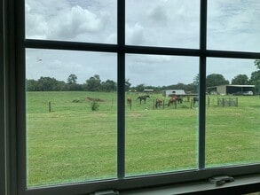 Building Photo - 29231 Sheffield Rd