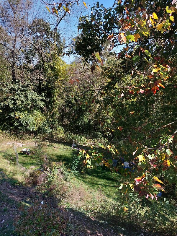 Building Photo - 314 Pine Dr