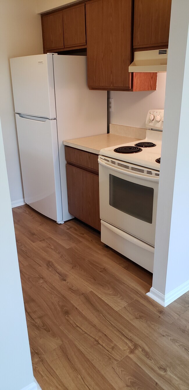 Foto del edificio - 714 Timber Ln