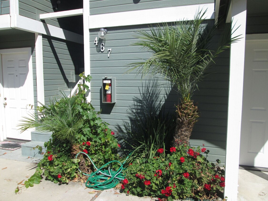 Primary Photo - 467 Buchon St