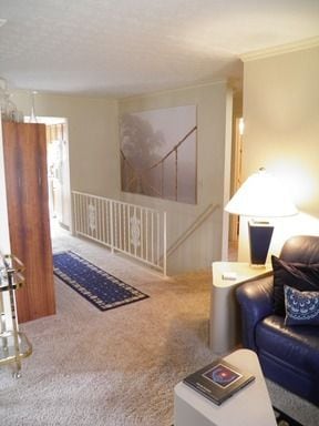 Stairwell to Lower Level - 3703 Canon Ridge Pl