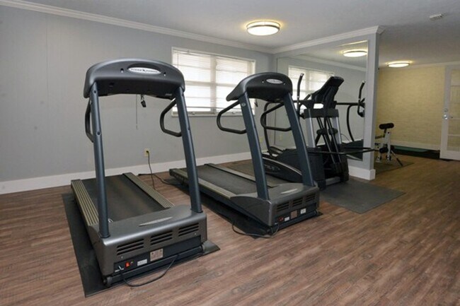 Interior Photo - Broad Ripple Trails