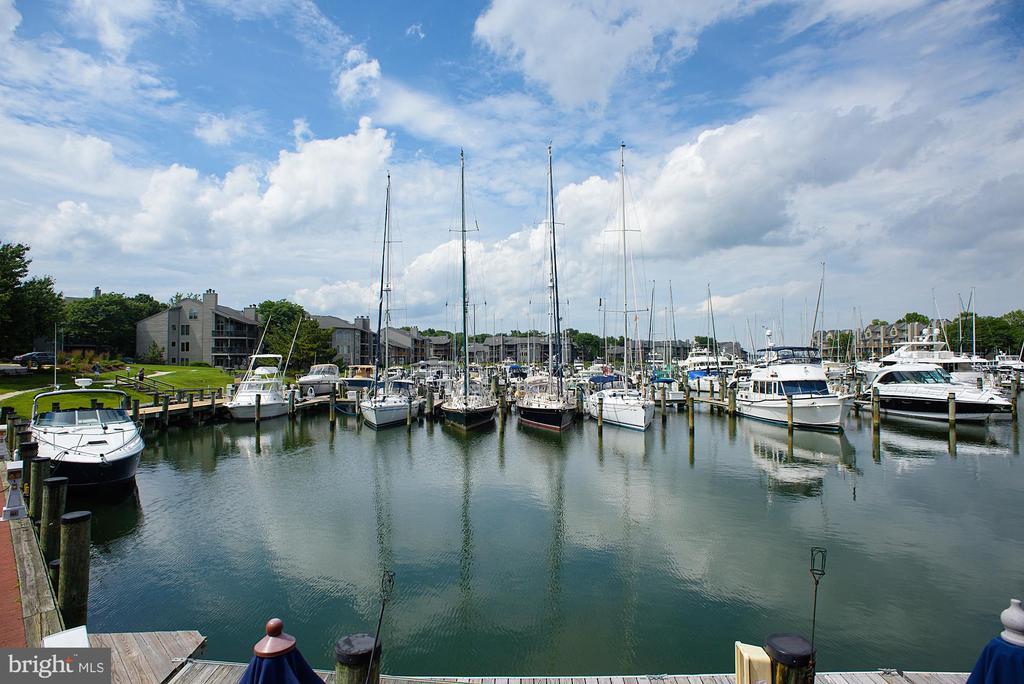 Foto principal - 7025 Chesapeake Harbour Dr E
