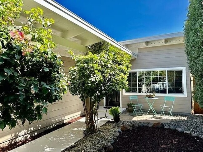 Foto del edificio - Cute Cottage in Belle Haven, Updated Interior, Remodeled Kitchen, Private Backyard!