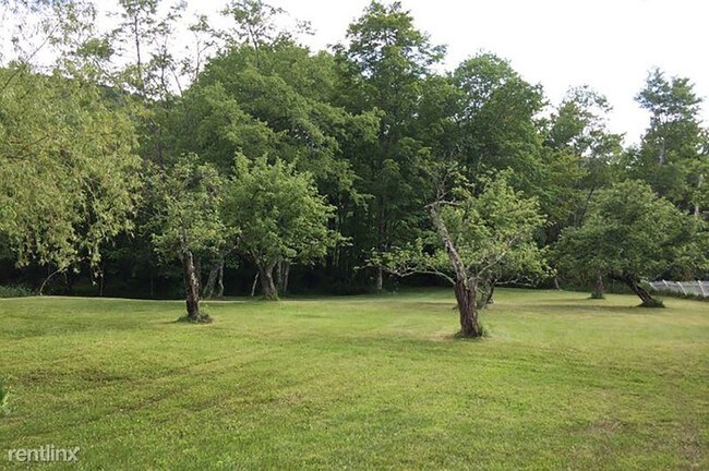 Building Photo - 4 br, 1.5 bath House - 374 colgate road