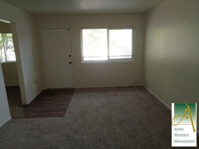 Building Photo - Pets Welcome