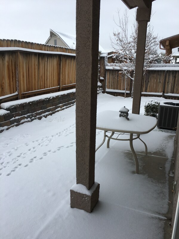 Foto del edificio - 1045 Peach Blossom Way