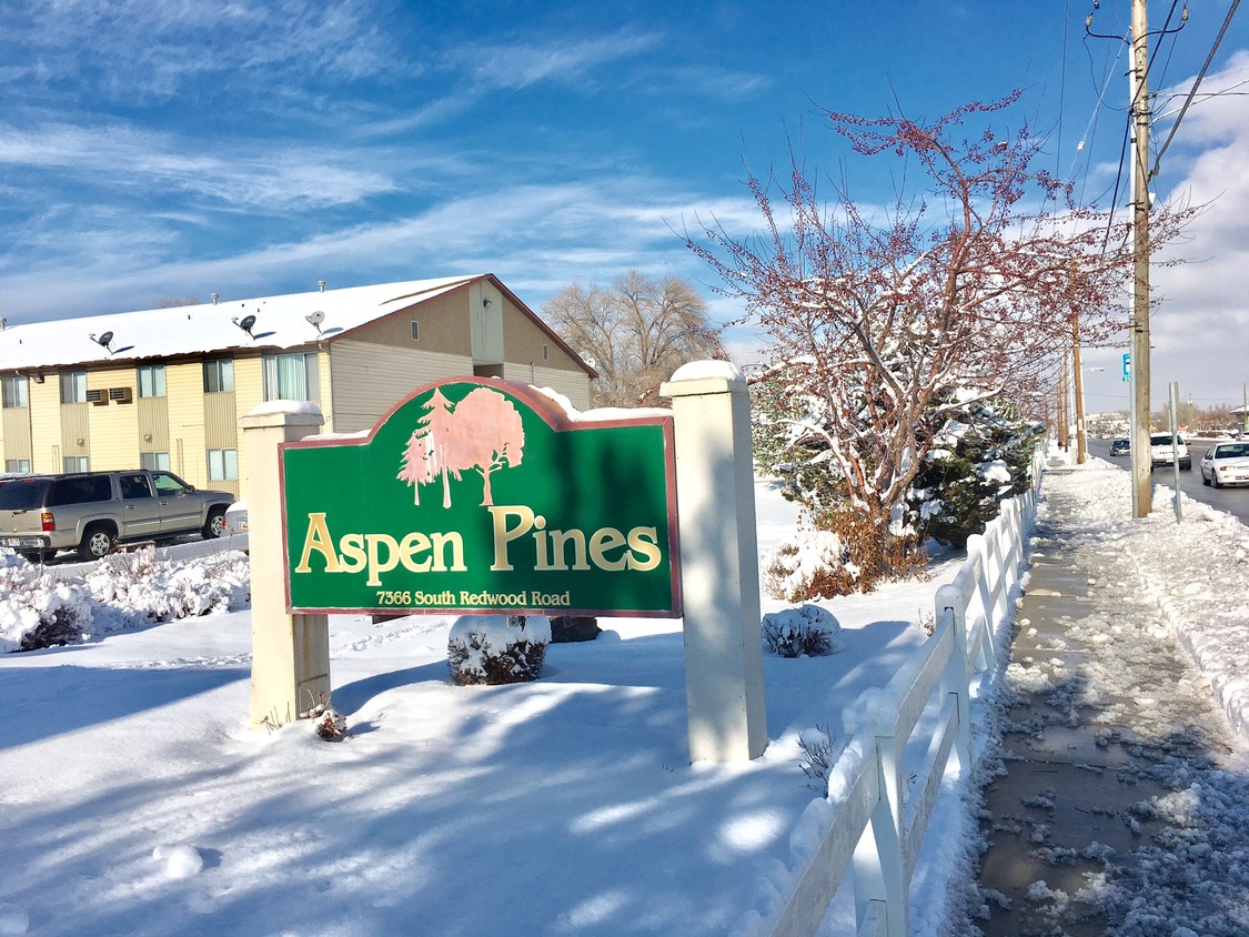 Foto principal - Aspen Pines Apartments