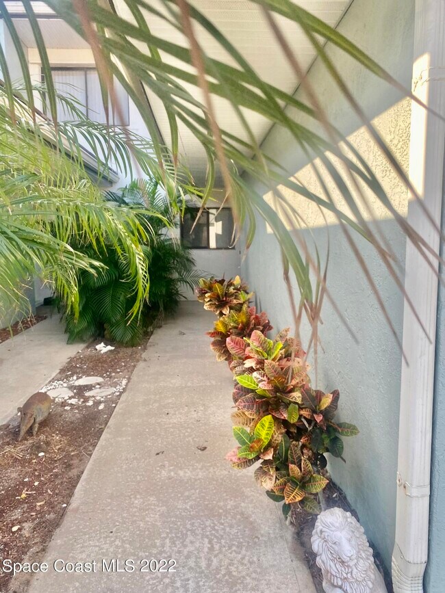 Foto del edificio - 1241 Beachside Ln