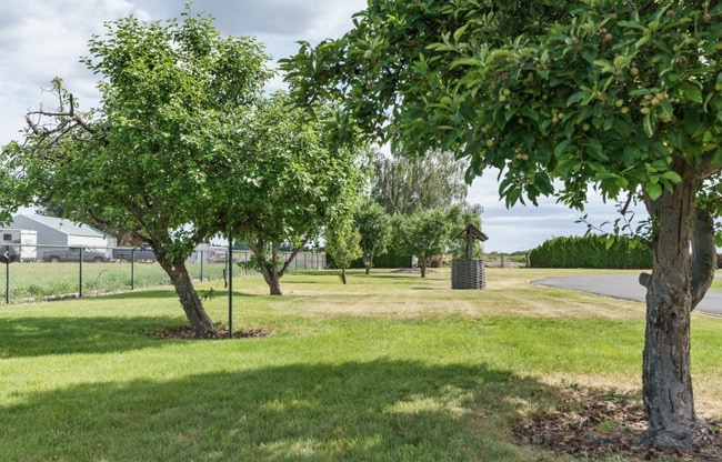 Building Photo - Large Country Home w/acreage