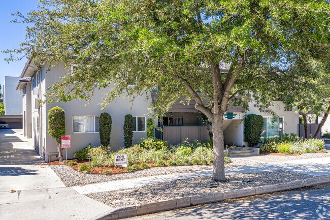 Alternar - Molino House