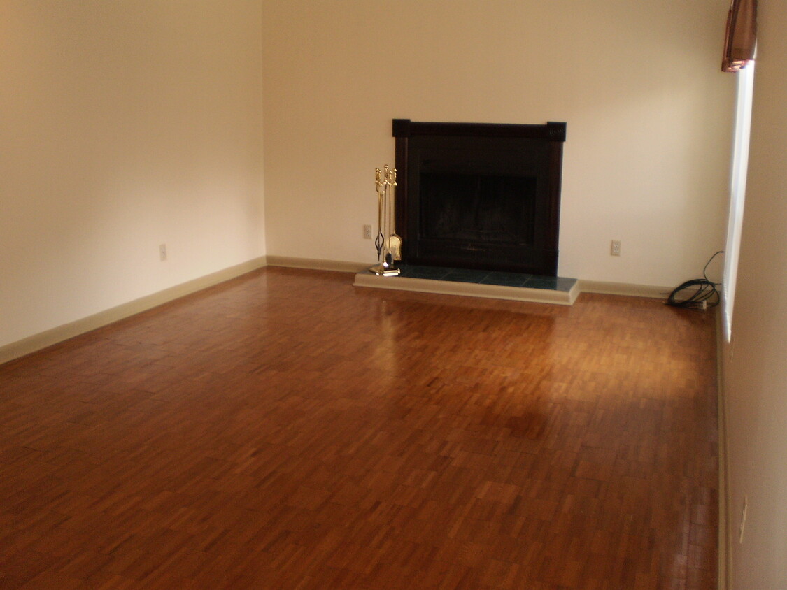 Living room - 206 Springvale Cir
