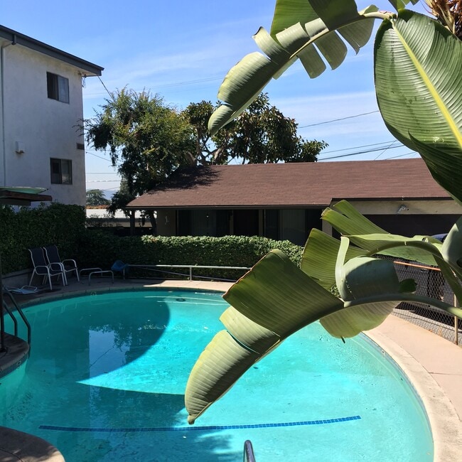 Shared Pool - 2314 Mira Vista Ave