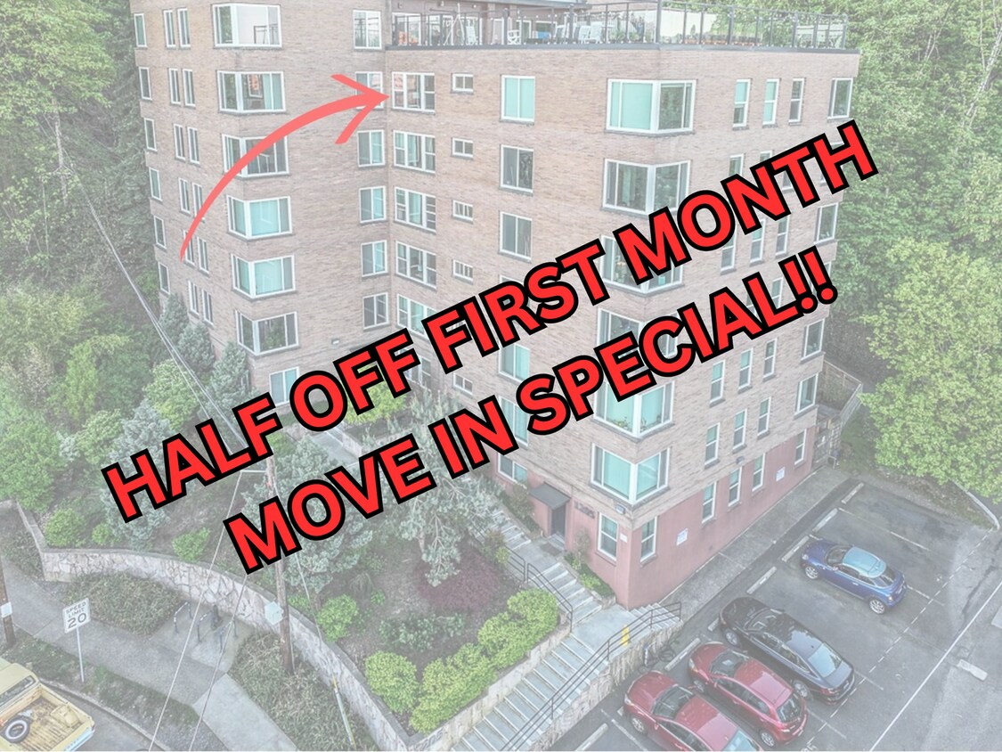 Primary Photo - View