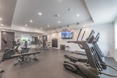 Located at 100 Manett Cres in Brampton, Ontario, this fitness center offers a thoughtfully designed workout space accommodating a wide variety of exercise needs. The room features a clean, modern aesthetic with crisp white walls, recessed pot lighting, and durable dark rubber flooring suited for high-traffic athletic use.

The cardio section is well-appointed with multiple treadmills and elliptical trainers from TRUE Fitness, each equipped with individual digital consoles. A recumbent bike and upright cycle provide additional low-impact options. For strength training, the space includes a multi-functional cable machine, a dedicated leg press and strength bench setup, along with a full rack of color-coded kettlebells and an organized dumbbell rack with a wide range of weights.

A large wall-mounted mirror runs along one side of the room, visually expanding the space and allowing users to monitor their form during workouts. A flat-screen TV is mounted on the opposite wall, displaying scenic imagery to enhance the exercise environment. Natural light filters in through windows overlooking greenery, adding to the bright and energizing atmosphere. The space is completed with a clearly marked emergency exit, ensuring safety standards are met. Overall, this fitness center provides a comprehensive and functional environment for residents to maintain an active lifestyle.