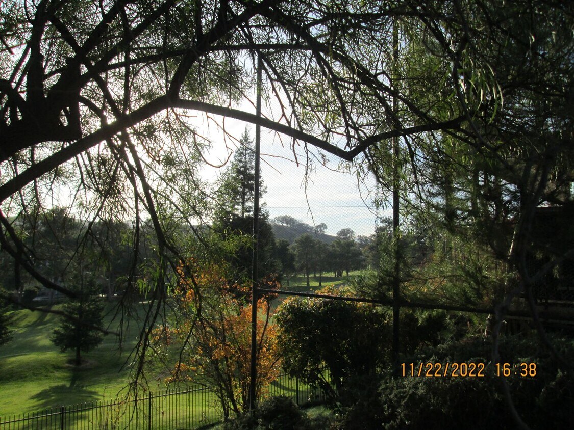 3229 Corte Granada, Fairfield, CA 94534 - House Rental in Fairfield, CA |  Apartments.com