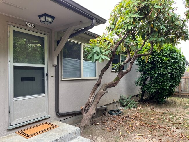 Frond door - 2365 SE 45th Ave