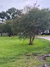 Building Photo - 717 E Sycamore St