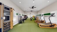 This single-level fitness center offers a thoughtfully designed workout space with a layout that accommodates a comprehensive range of exercise equipment. The room is finished with vibrant green turf flooring throughout, providing both durability and a visually energetic atmosphere. White walls are accented by a bold horizontal green stripe running the perimeter, reinforcing the space's athletic character.

The facility houses an impressive selection of equipment, including curved manual treadmills with wooden frames, a rowing machine, a stationary bike, and a medicine ball training station. A dedicated area along one wall features stability balls, resistance tools, and a balance trainer, supporting functional and rehabilitative workouts. Full-length wall mirrors expand the perceived depth of the room while allowing users to monitor their form.

Recessed ceiling lights and two ceiling fans maintain consistent illumination and airflow throughout the space. Multiple windows fitted with horizontal blinds introduce natural light from several directions, while a set of glass French doors at the rear provides direct outdoor access and adds to the open, airy feel. The overall ambiance is clean, functional, and well-organized, suited for a variety of fitness activities.
