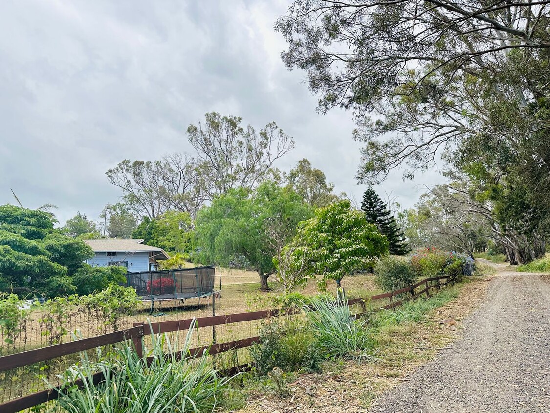 Primary Photo - 216 Keoni Pl