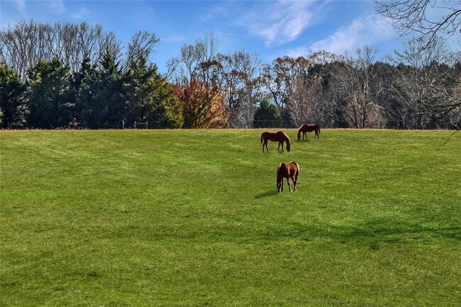 Building Photo - 21 Willow Wood Rd