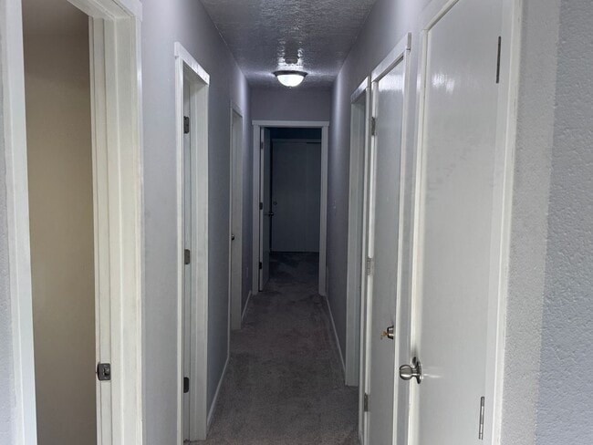 Photo - WA3309 Apartment