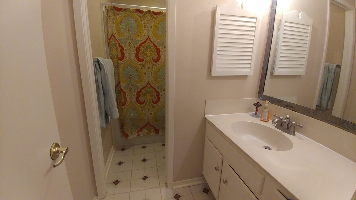 Full Bathroom Upstairs - 18 Larkspur Ln