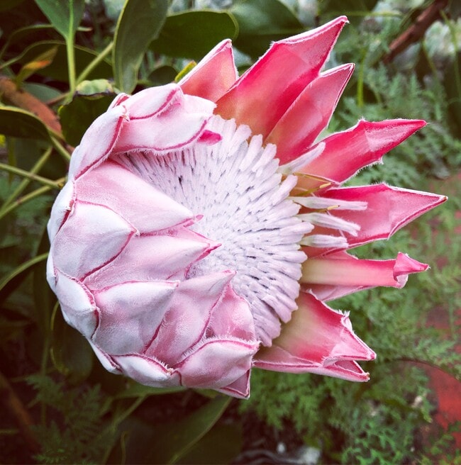 Building Photo - 44 Alviso St