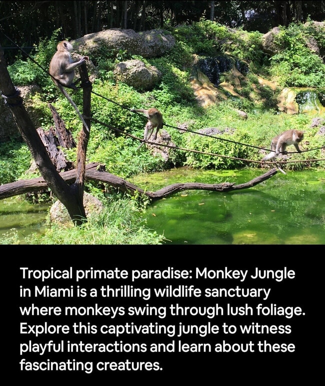 Foto del edificio - 19661 SW 340th St