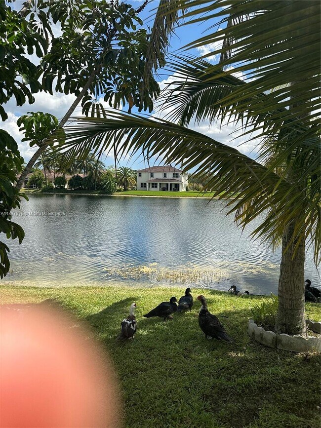 Building Photo - 3835 SW 169th Terrace