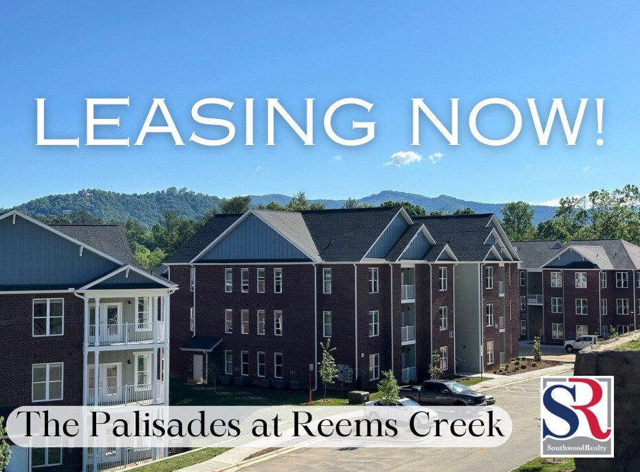 Palisades at Reems Creek Apartments in Weaverville, NC