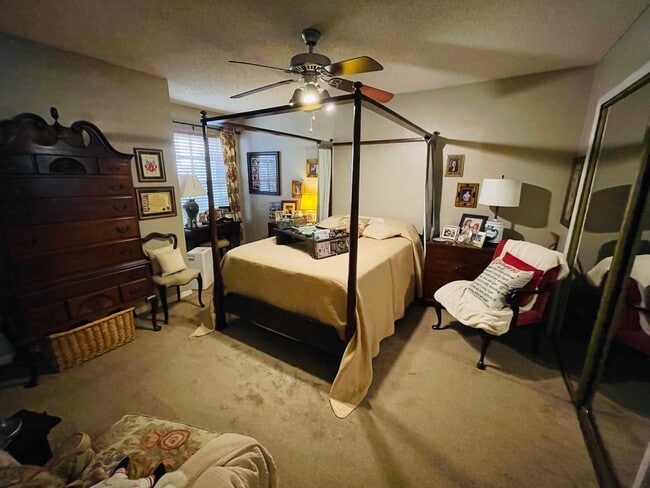 Building Photo - 698 Roaring Dr