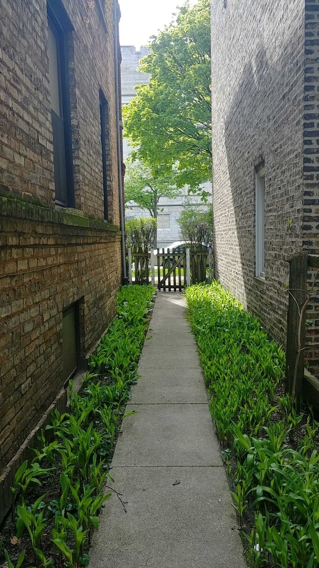 Building Photo - 1505 Maple Ave